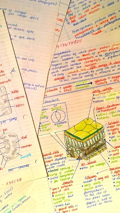 Ảnh chụp màn hình của Pocket Notes - GCSE Science