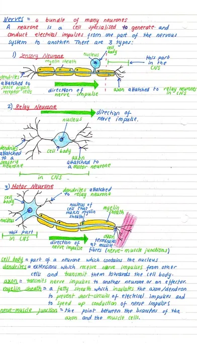 Ảnh chụp màn hình của Pocket Notes - GCSE Science