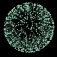 Fireworks Tap AR Fireworks Tap AR