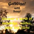 TreeWise TreeWise