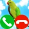 fake incoming call pet game