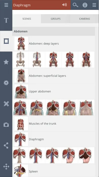 Tangkapan layar Primal's 3D Abdomen