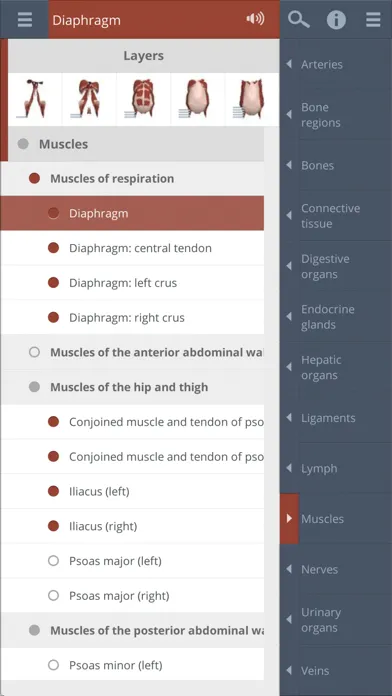 Tangkapan layar Primal's 3D Abdomen