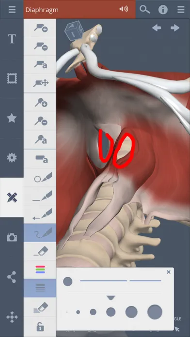 Tangkapan layar Primal's 3D Abdomen
