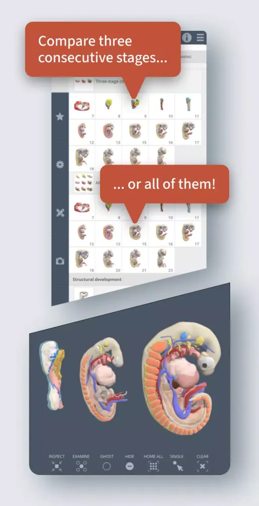 Primal's 3D Embryology应用截图
