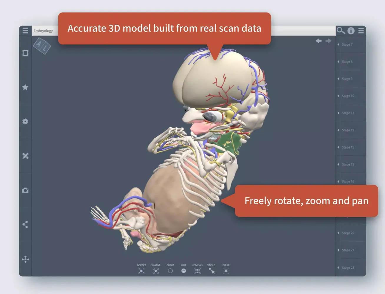 Primal's 3D Embryology应用截图
