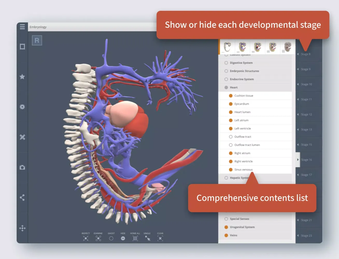 Primal's 3D Embryology应用截图