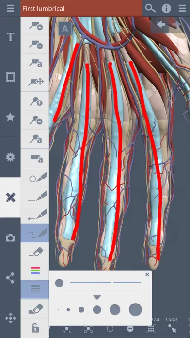 Primal's 3D Forearm & Hand Screenshots