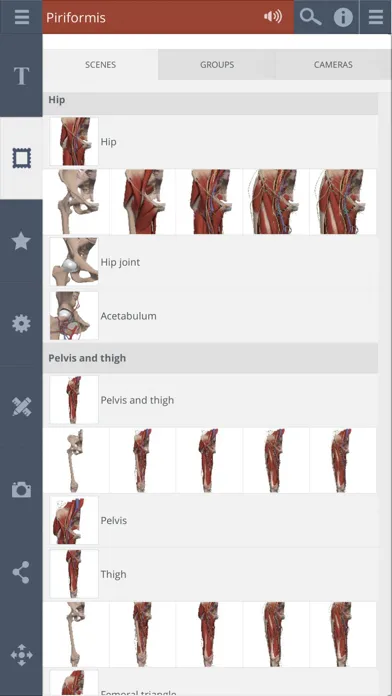 Tangkapan skrin Primal's 3D Hip