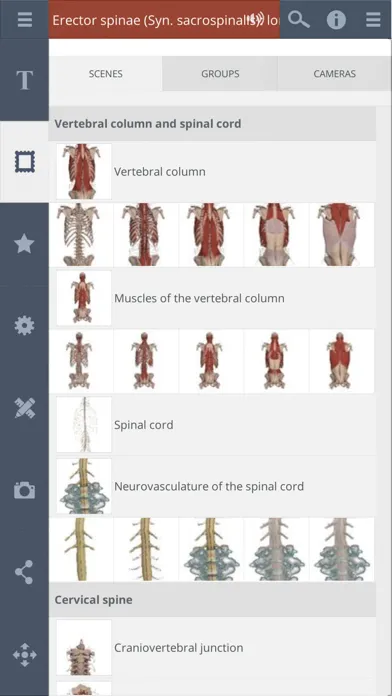 Ảnh chụp màn hình của Primal's 3D Spine