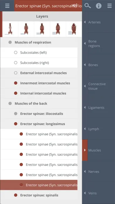 Ảnh chụp màn hình của Primal's 3D Spine