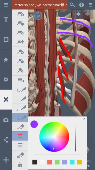 Ảnh chụp màn hình của Primal's 3D Spine