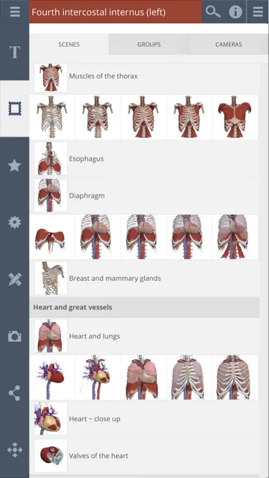 Ảnh chụp màn hình của Primal's 3D Thorax