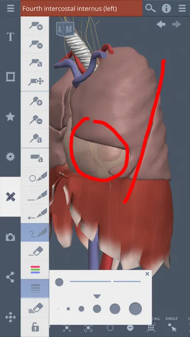 Ảnh chụp màn hình của Primal's 3D Thorax