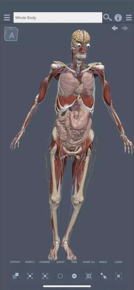 Primal's 3D Whole body Screenshots