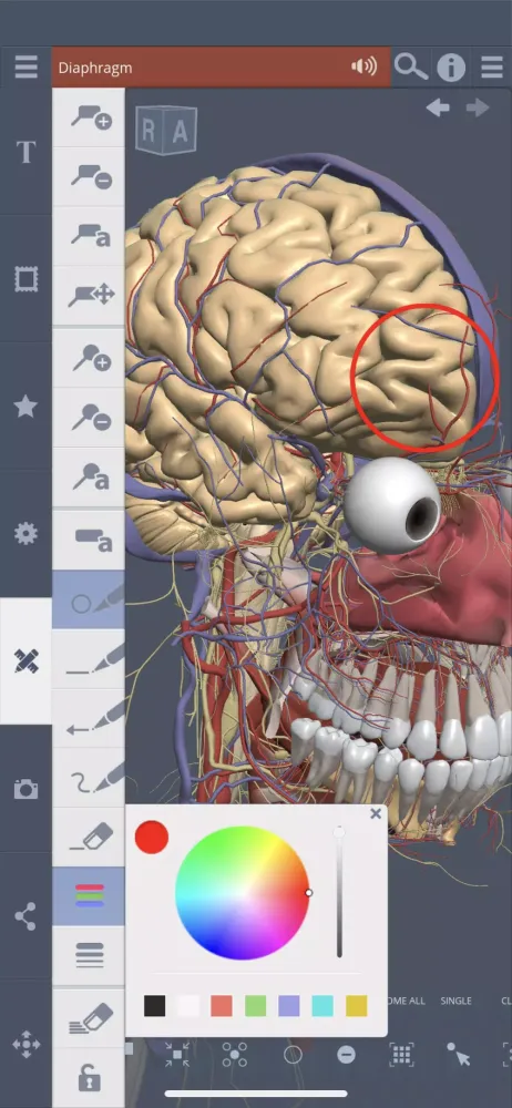 Primal's 3D Whole body Screenshots