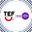 TEF VR TEF VR