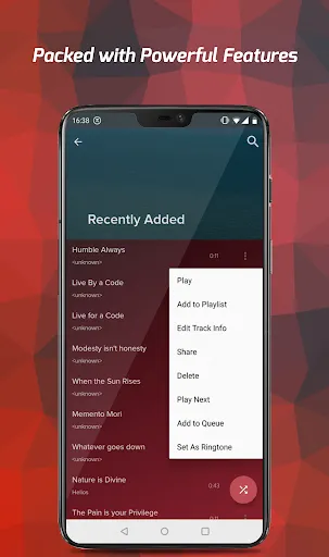 Pi Music Player - MP3 Player应用截图
