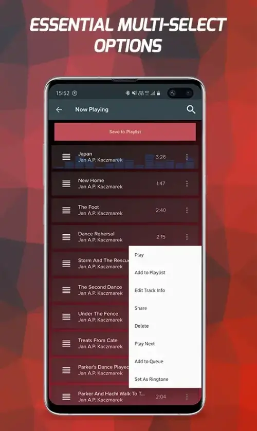 Pi Music Player-screenshot-6