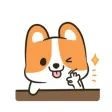 Puppy And Kitty Puppy And Kitty