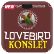 Cara Melatih Lovebird Ngekek Konslet Cara Melatih Lovebird Ngekek Konslet
