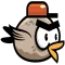 FLY BIRD
