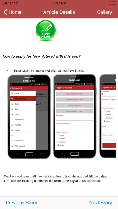 Missing Voters应用截图