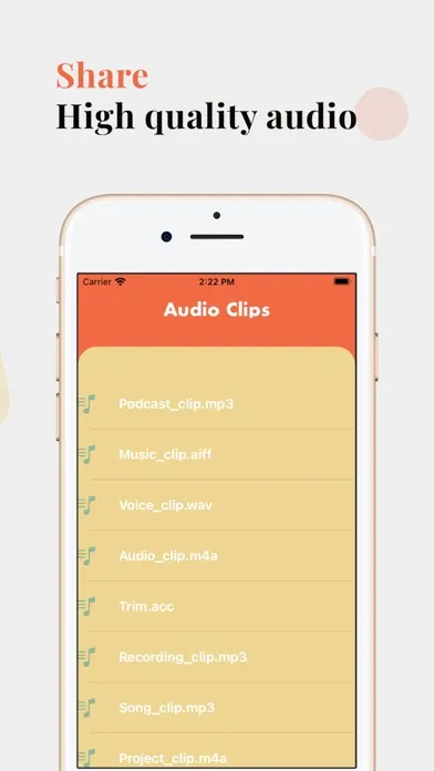 Clip Audio স্ক্রিনশট