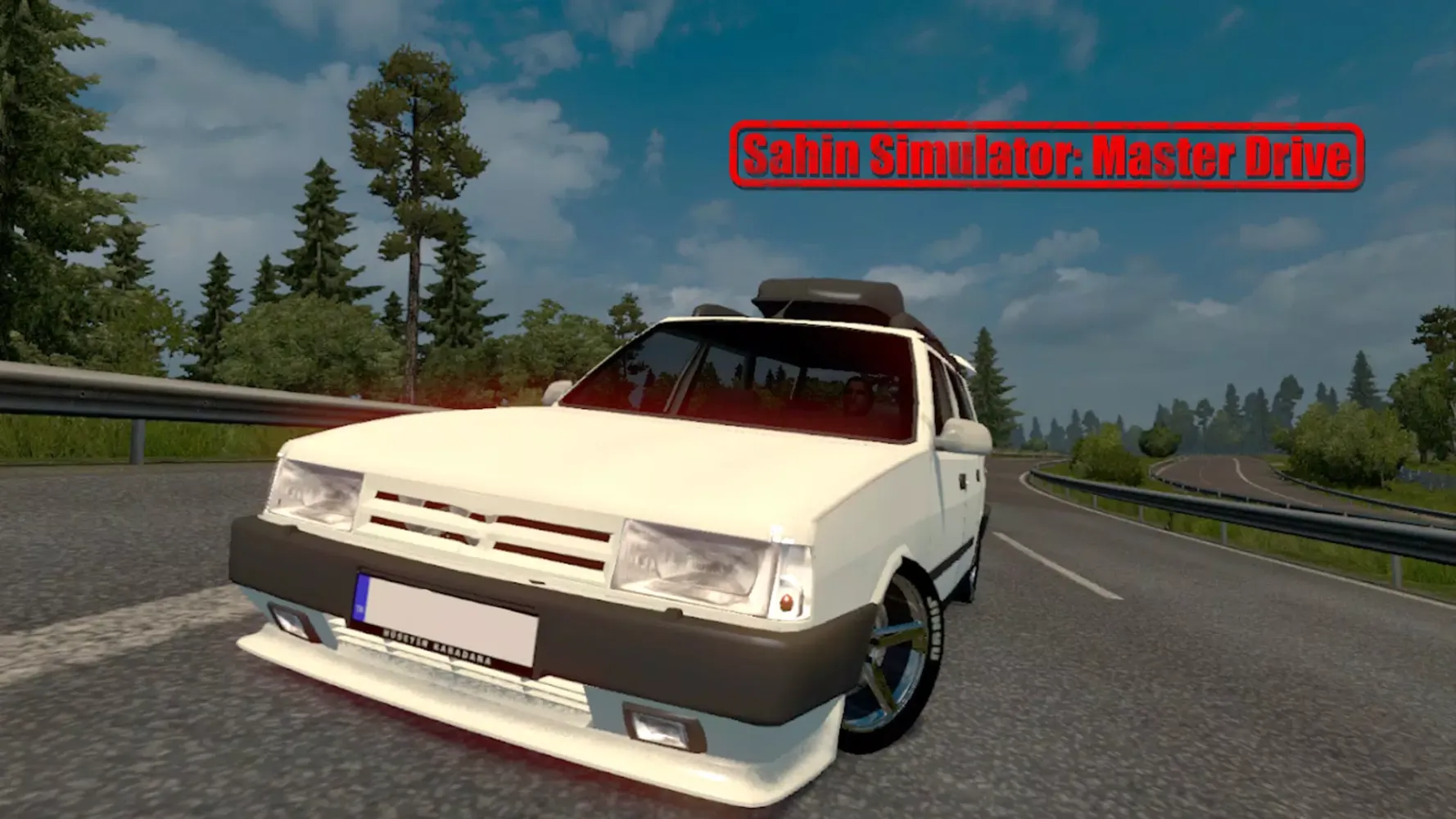 Sahin Simulator: Master Drive Screenshots
