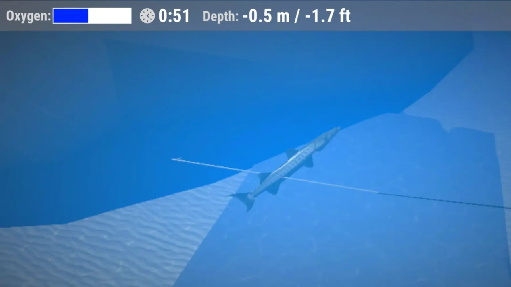 Spearfishing Simulator Screenshots