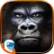 Super Gorilla Slots