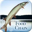 i Fishing Food Chain i Fishing Food Chain