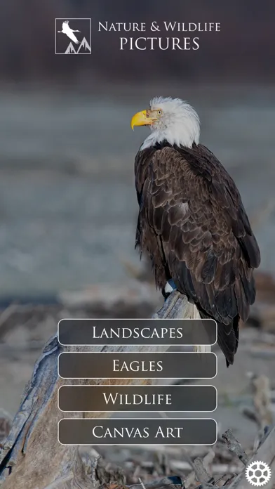 ภาพหน้าจอของ Nature and Wildlife Pictures