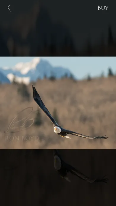 ภาพหน้าจอของ Nature and Wildlife Pictures