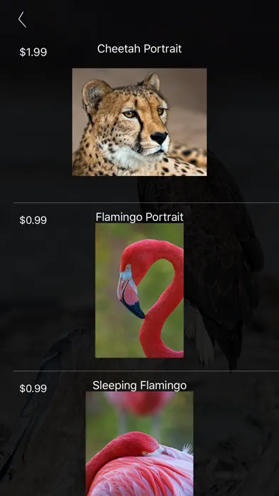 ภาพหน้าจอของ Nature and Wildlife Pictures
