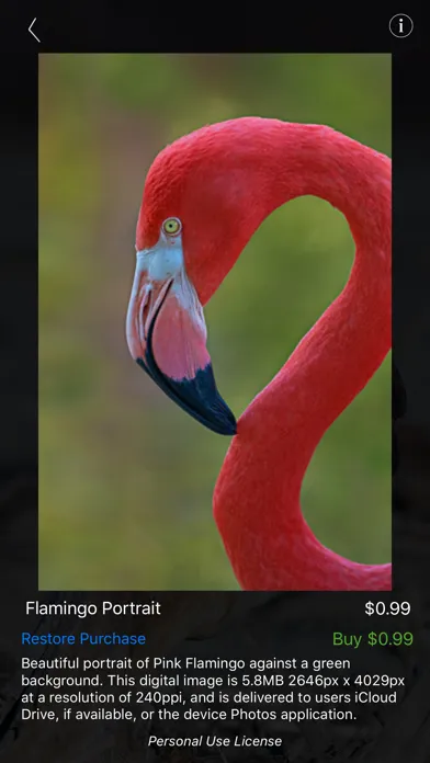 ภาพหน้าจอของ Nature and Wildlife Pictures