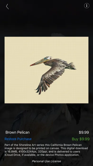 ภาพหน้าจอของ Nature and Wildlife Pictures