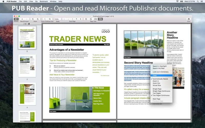 Screenshot di PUB Reader : for MS Publisher