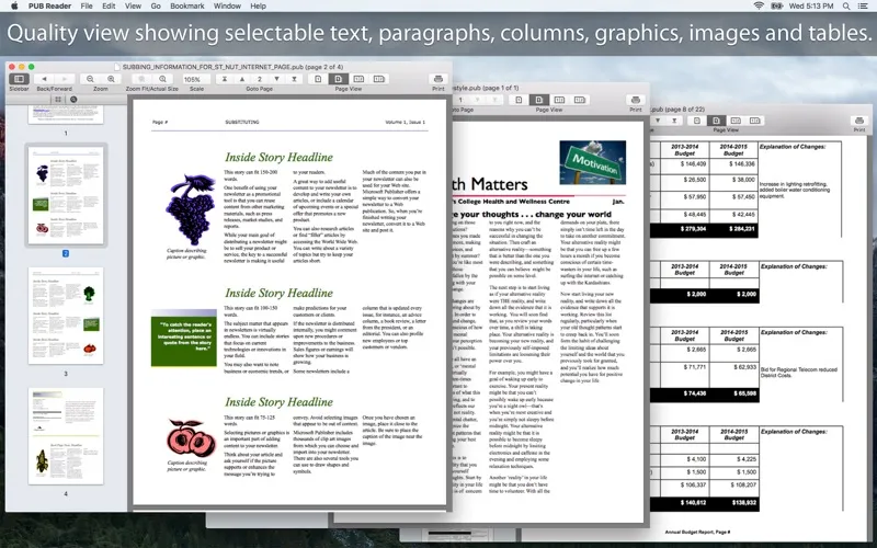 Screenshot di PUB Reader : for MS Publisher