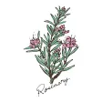 豊中市のお家サロン RoseMary