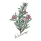 豊中市のお家サロン RoseMary