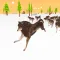 Hound Run