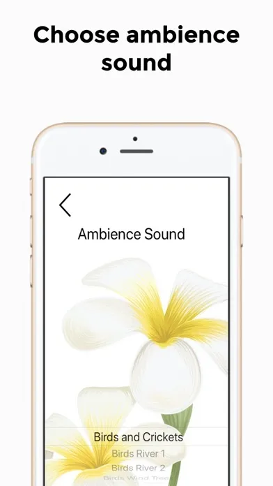 Ảnh chụp màn hình của Relax Nature Sounds