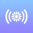 Photos In Wifi