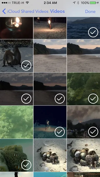 Video Exporter应用截图