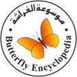 Online Butterfly Encyclopedia
