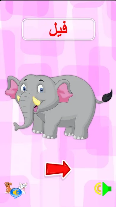 Animals and fun colors スクリーンショット