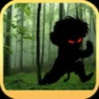 Forest Rush Plus
