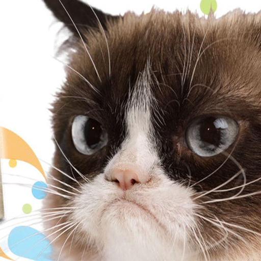Grumpy Cat Puzzle Game