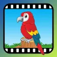 Video Touch - Wild Birds Video Touch - Wild Birds